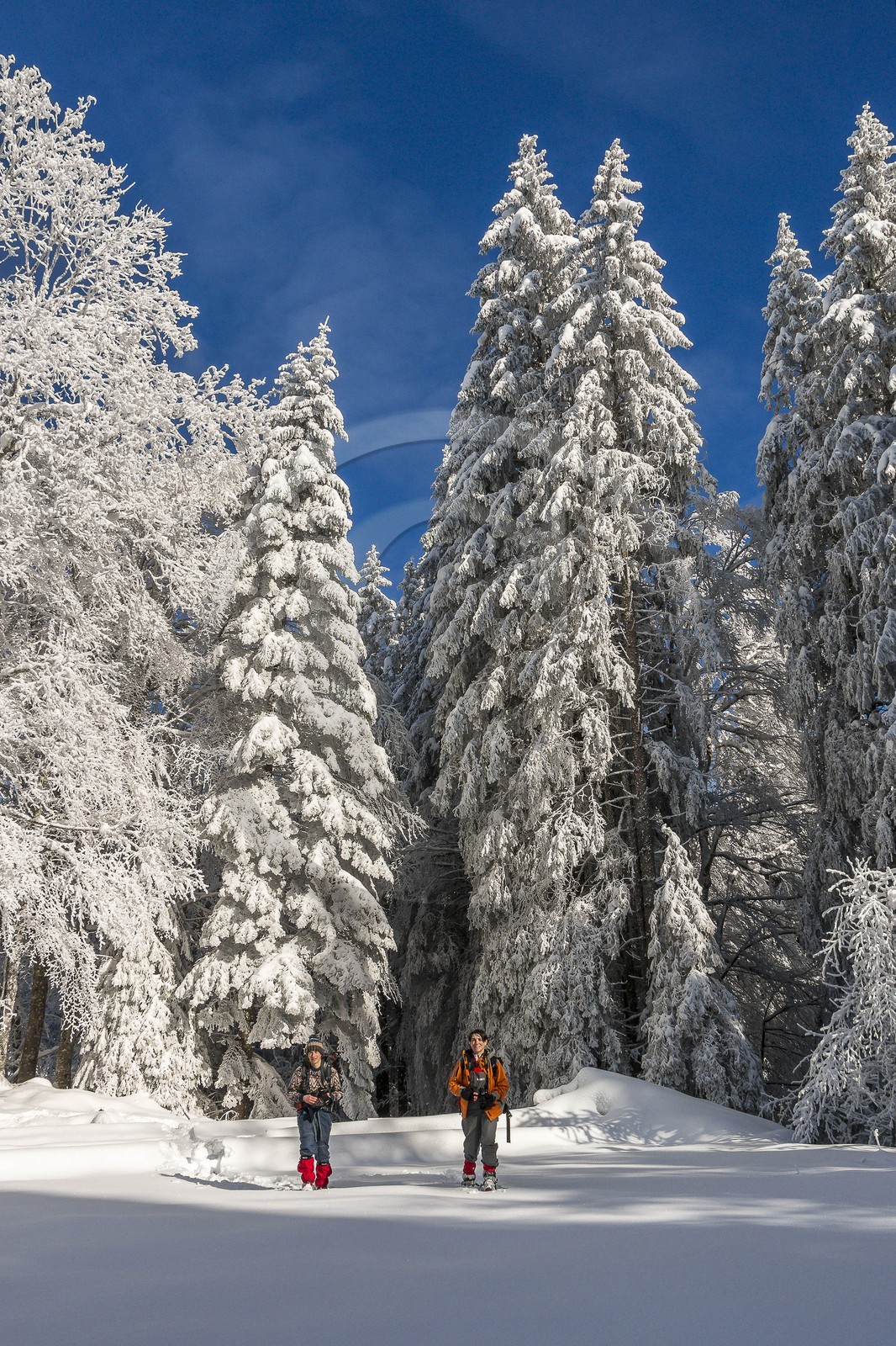 ENS de l'Isère, Les Ecouges