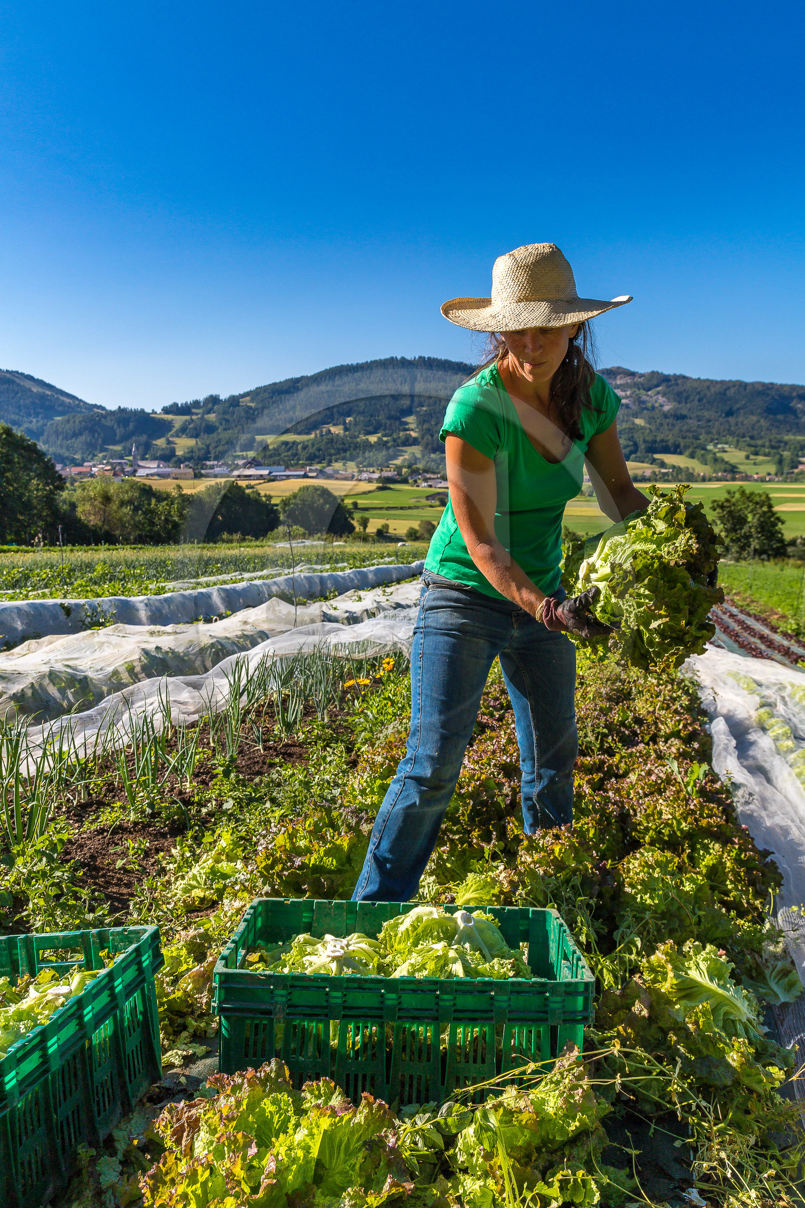 LéguMontagne Sylvie Jaussaud , Maraîchères bio