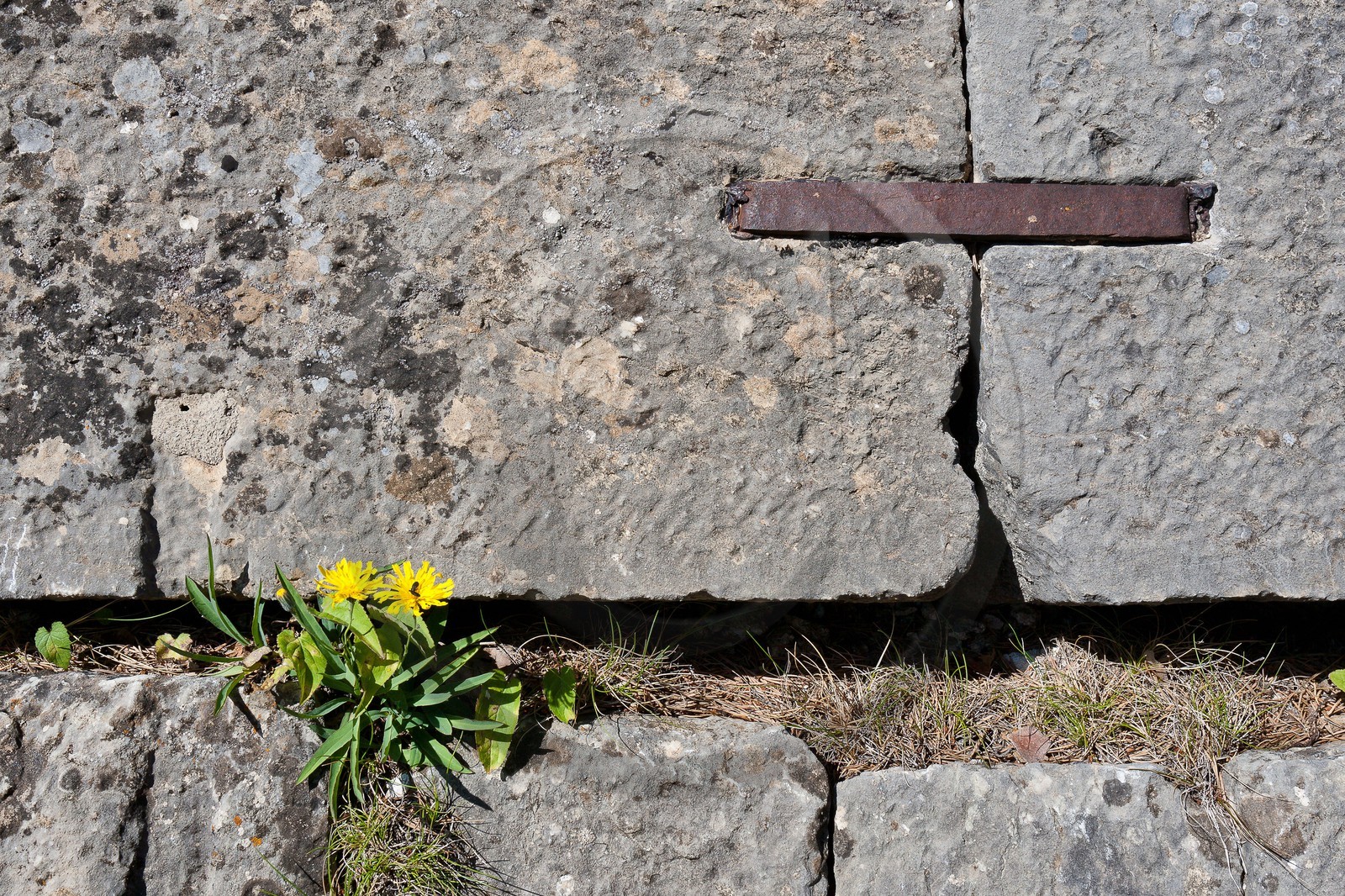 Briançon, Fort Dauphin agrafe pour pierre de taille