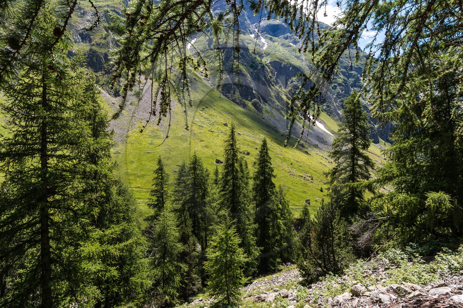 Vallée de Champoléon