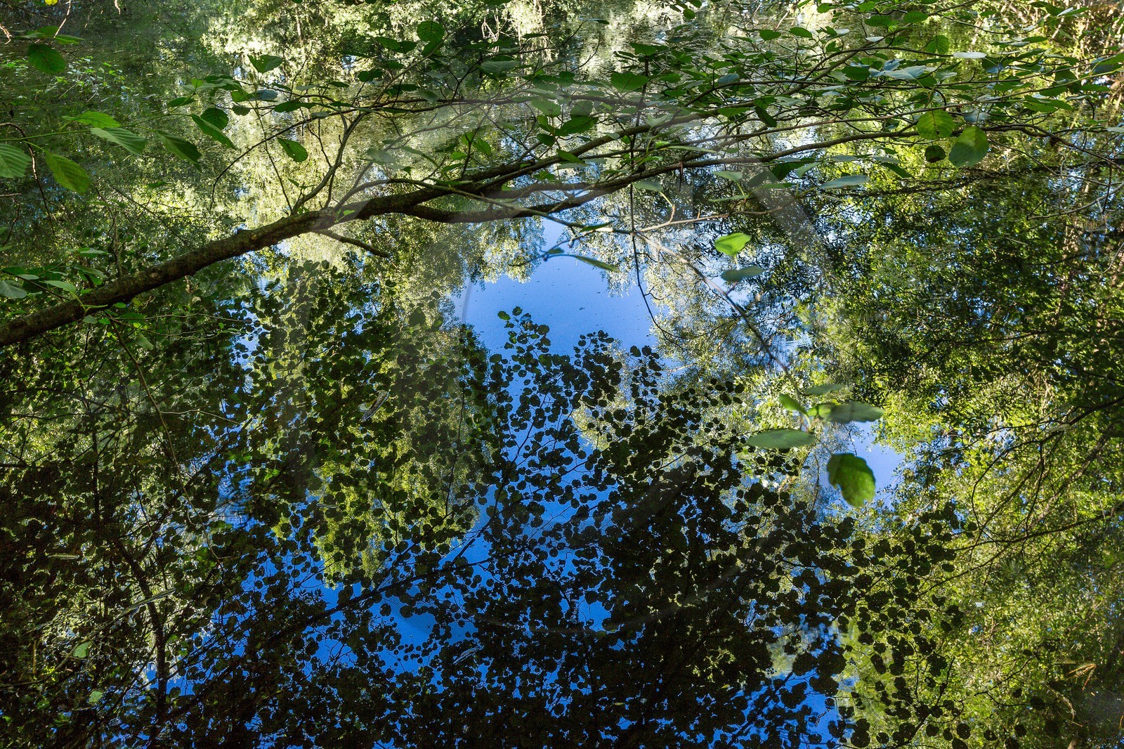 ENS de l'Isère, espace alluvial de la Rolande