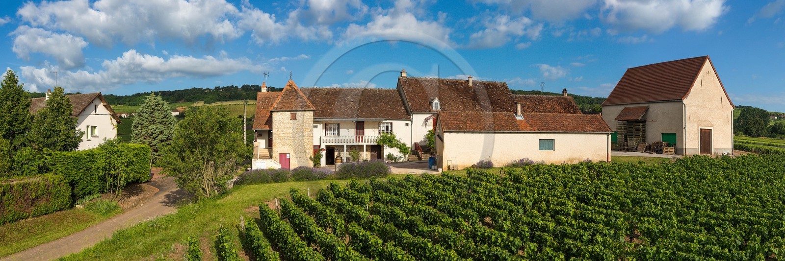 Domaine viticole Michel-Andreotti