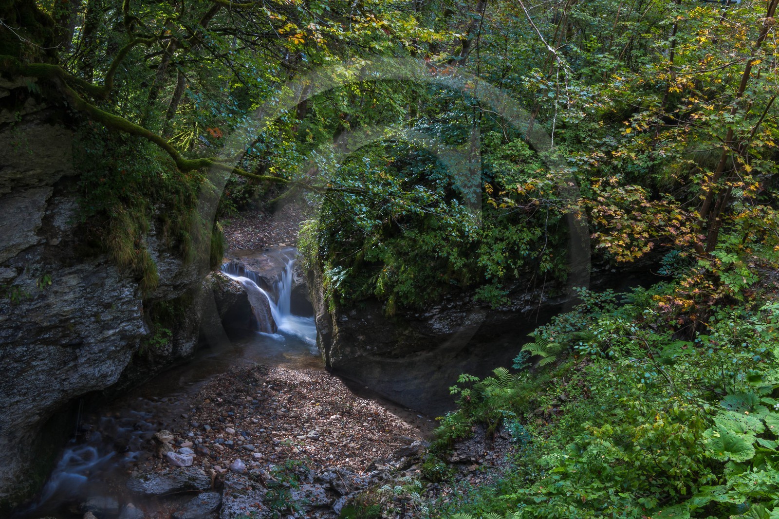 ENS de l'Isère, Les Ecouges, rivière La Drevenne
