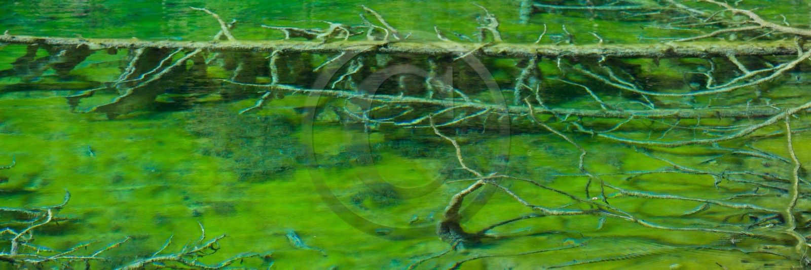 Lac Vert, vallée Etroite