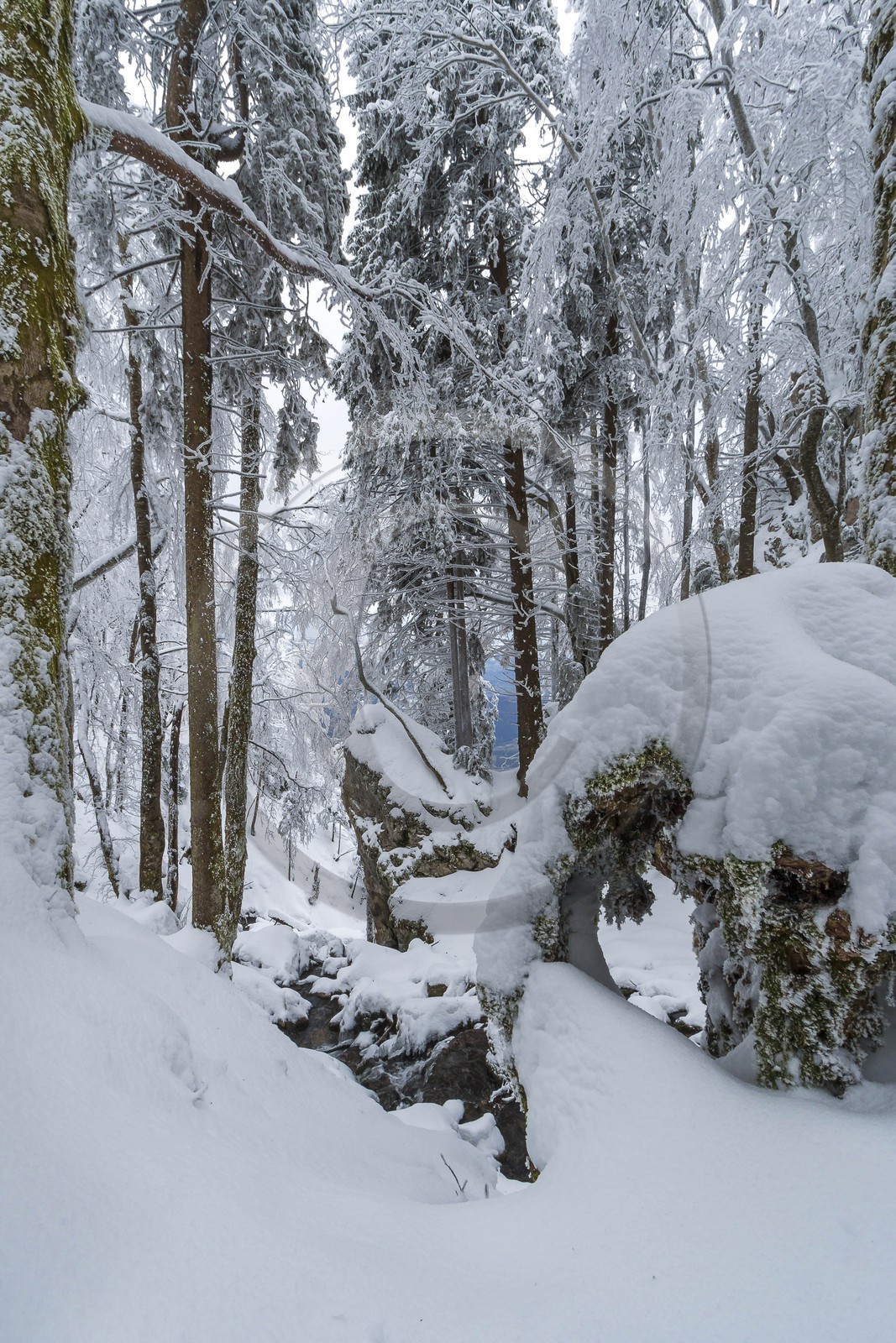 ENS de l'Isère, Les Ecouges