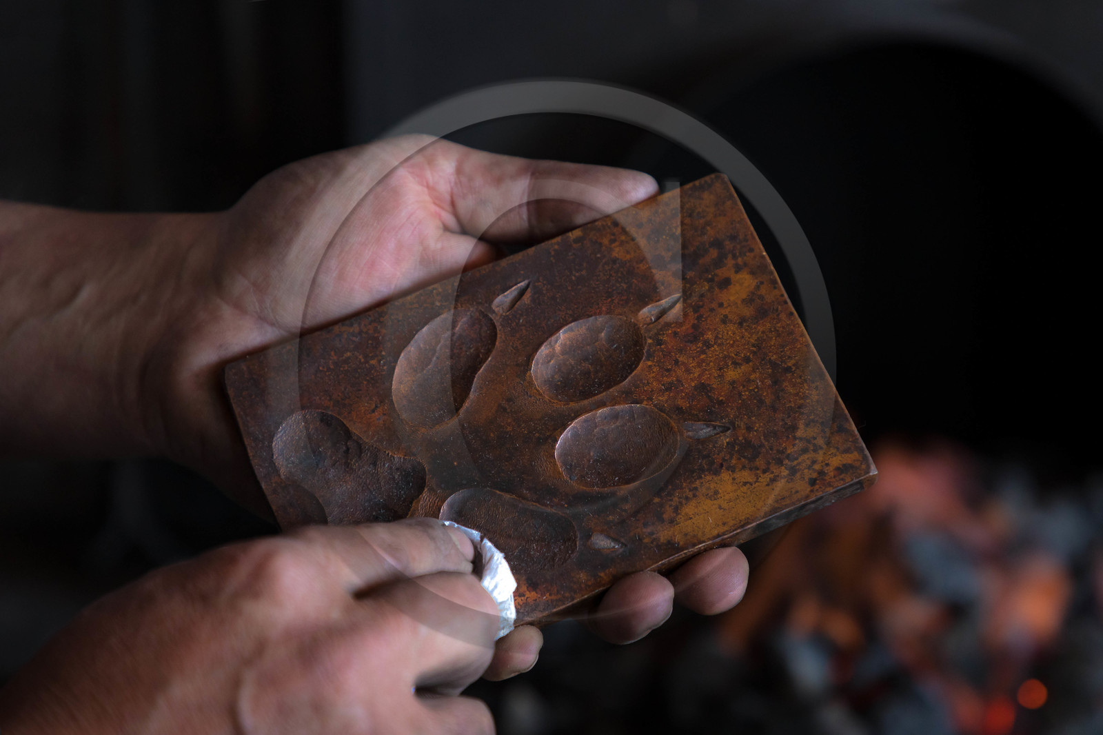 Toutomarto, trace de loup