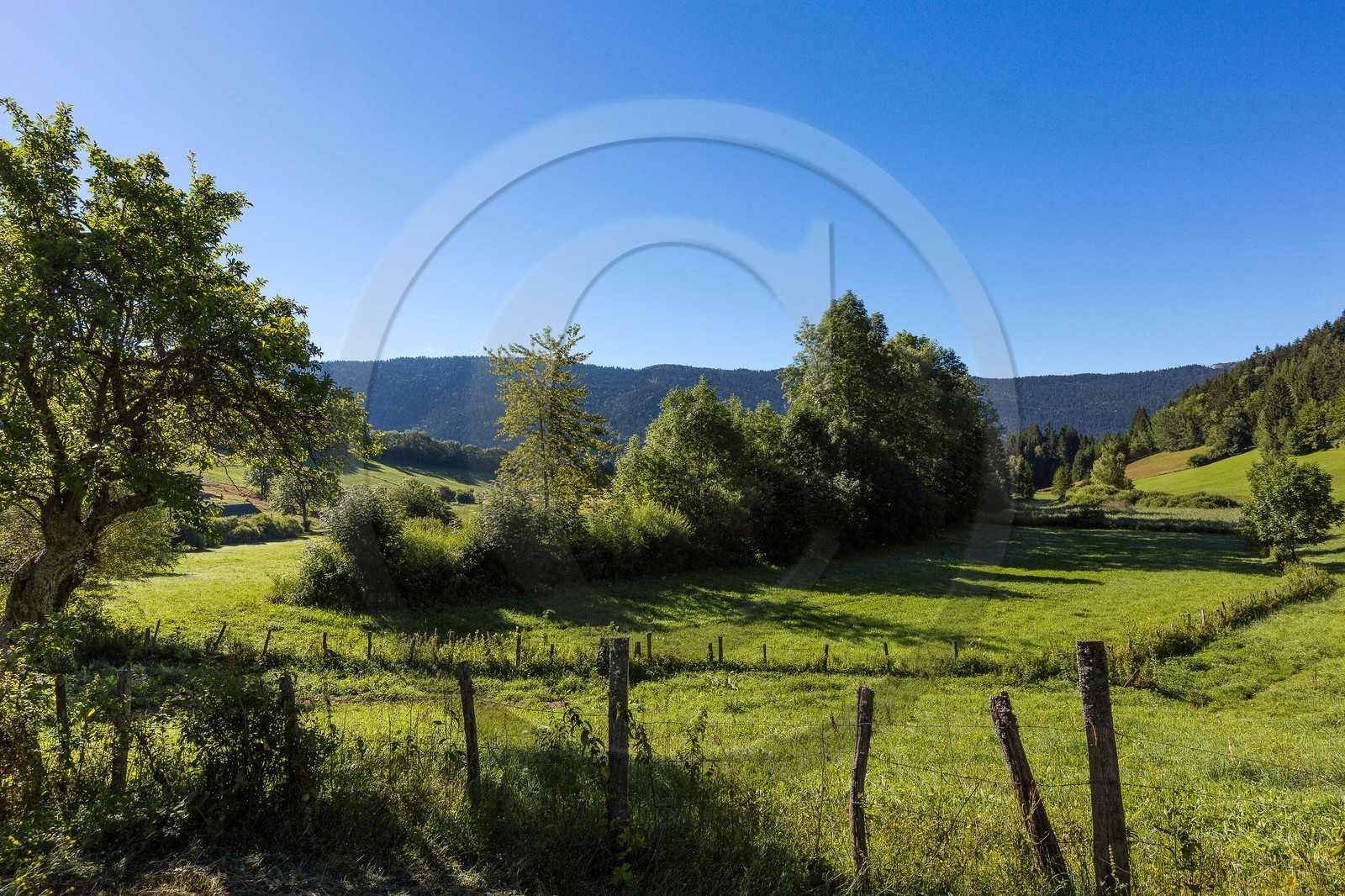 ENS de l'Isère, Marais des Sagnes