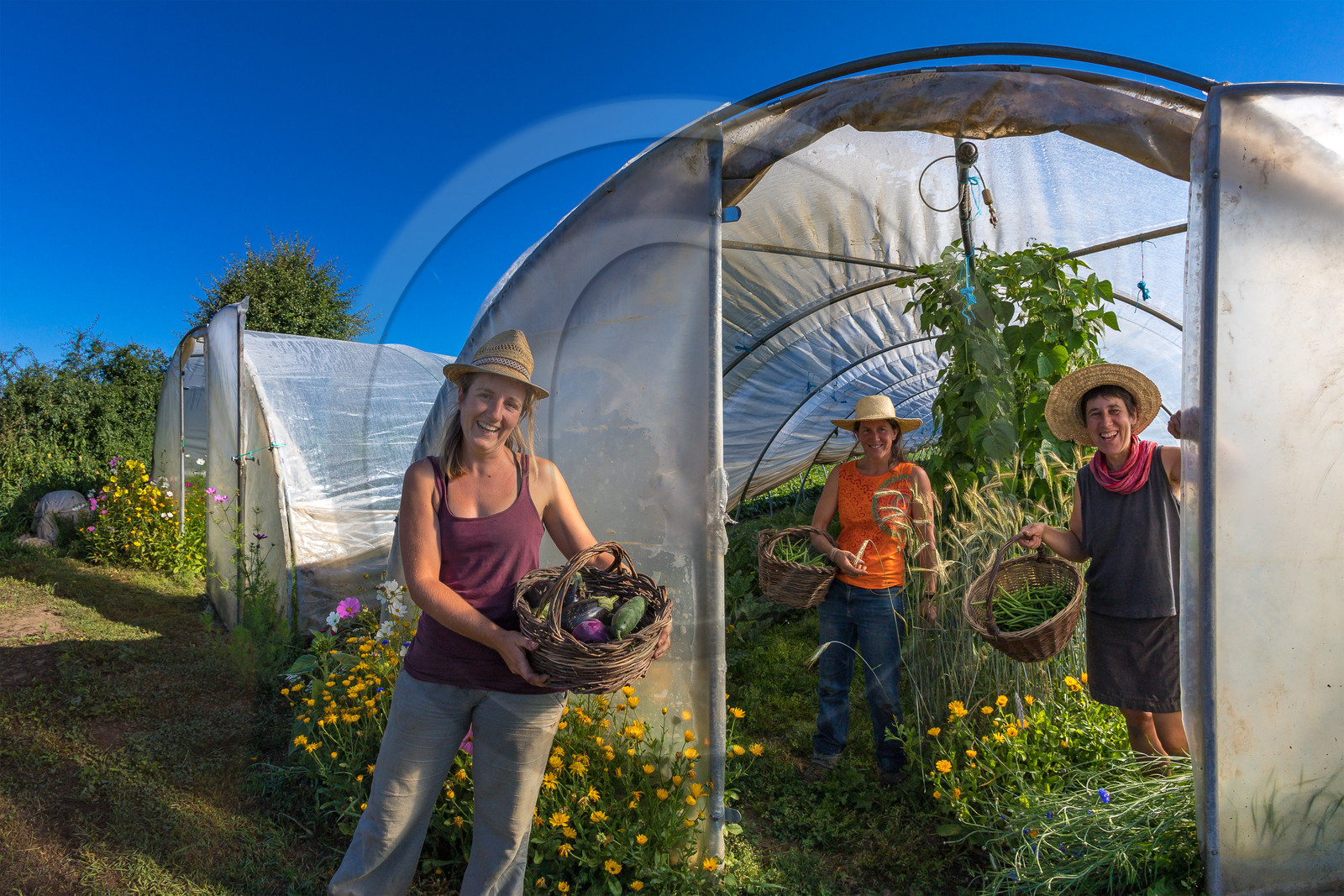 LéguMontagne, Sylvie Jaussaud et  Bertille Gieu, Maraîchères bio