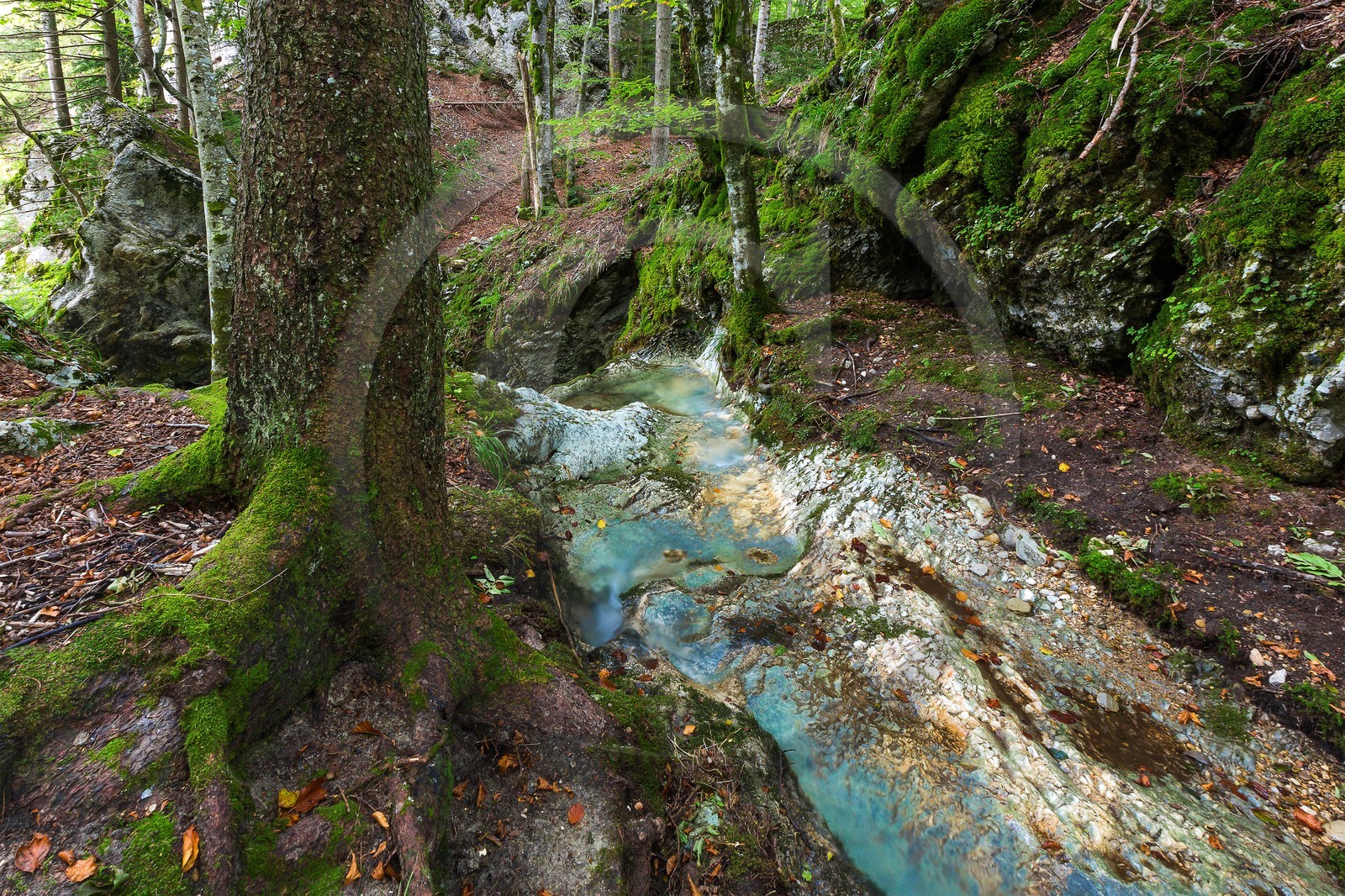 ENS de l'Isère, Les Ecouges