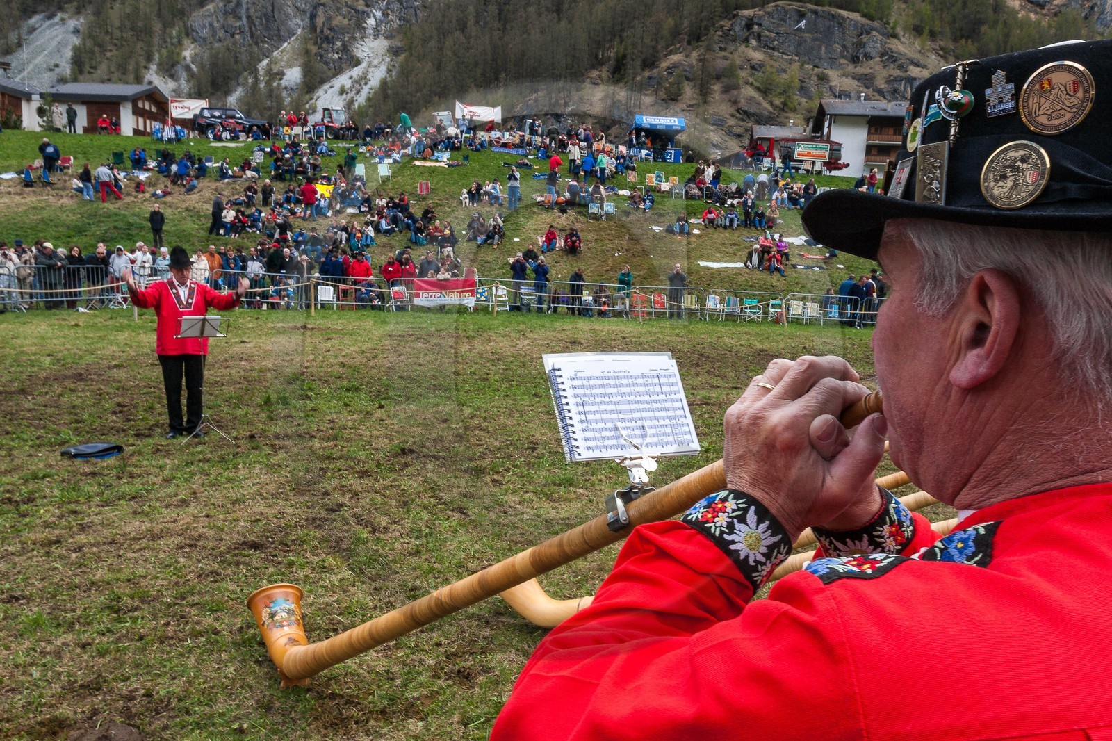 Combat de reines, Evolène, Valais Suisse