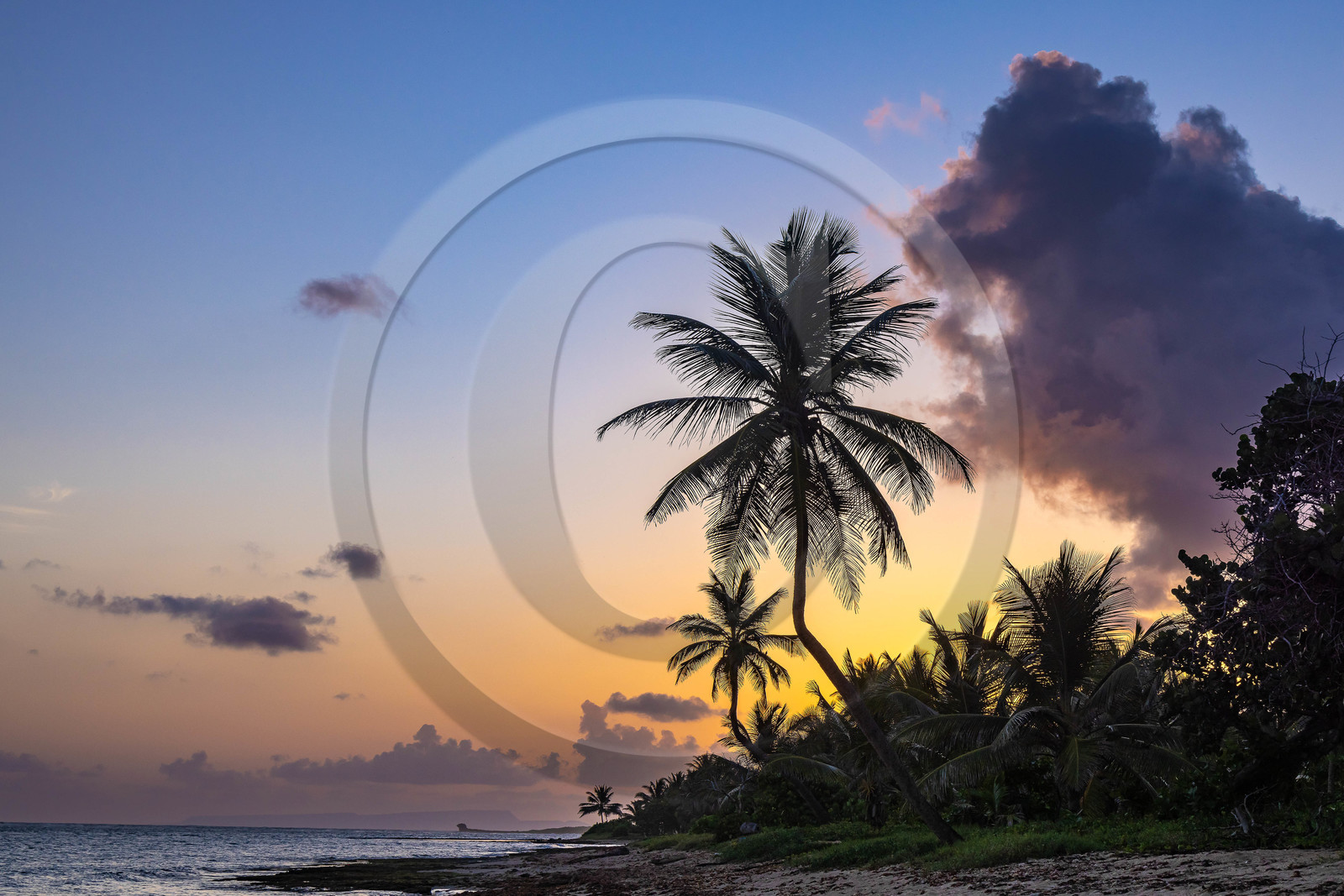 Guadeloupe, Le Moule, Anse Conchou