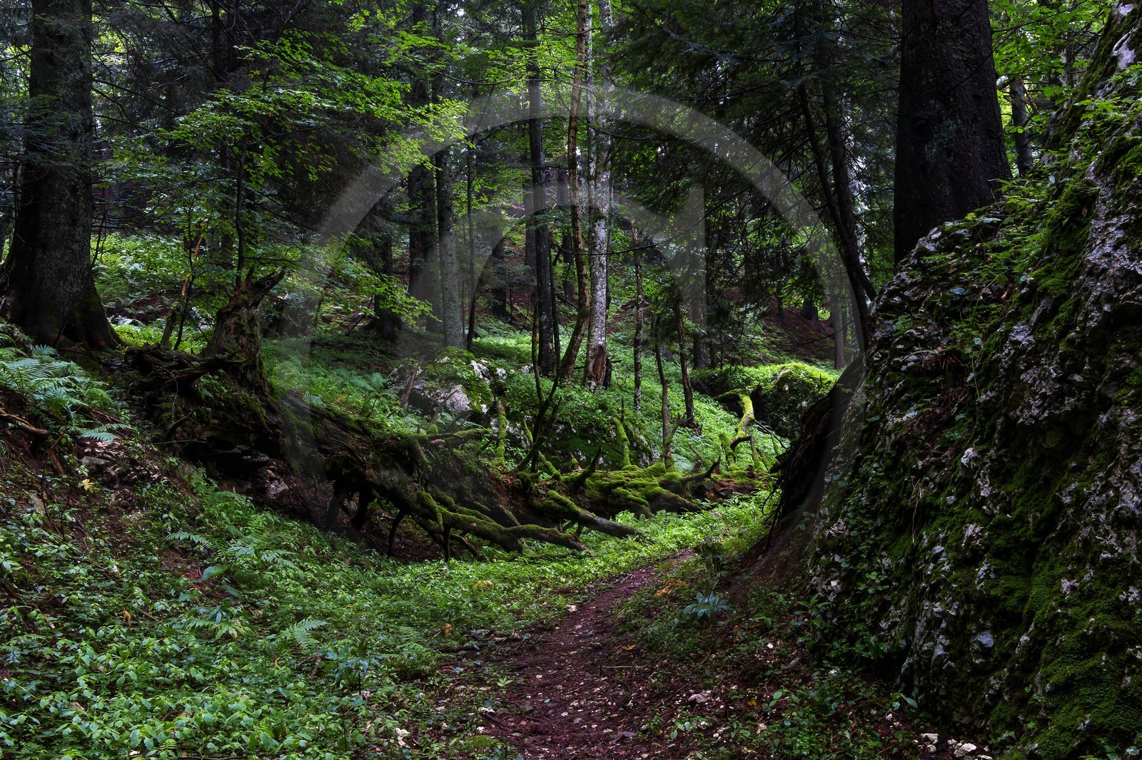 ENS de l'Isère, Les Ecouges