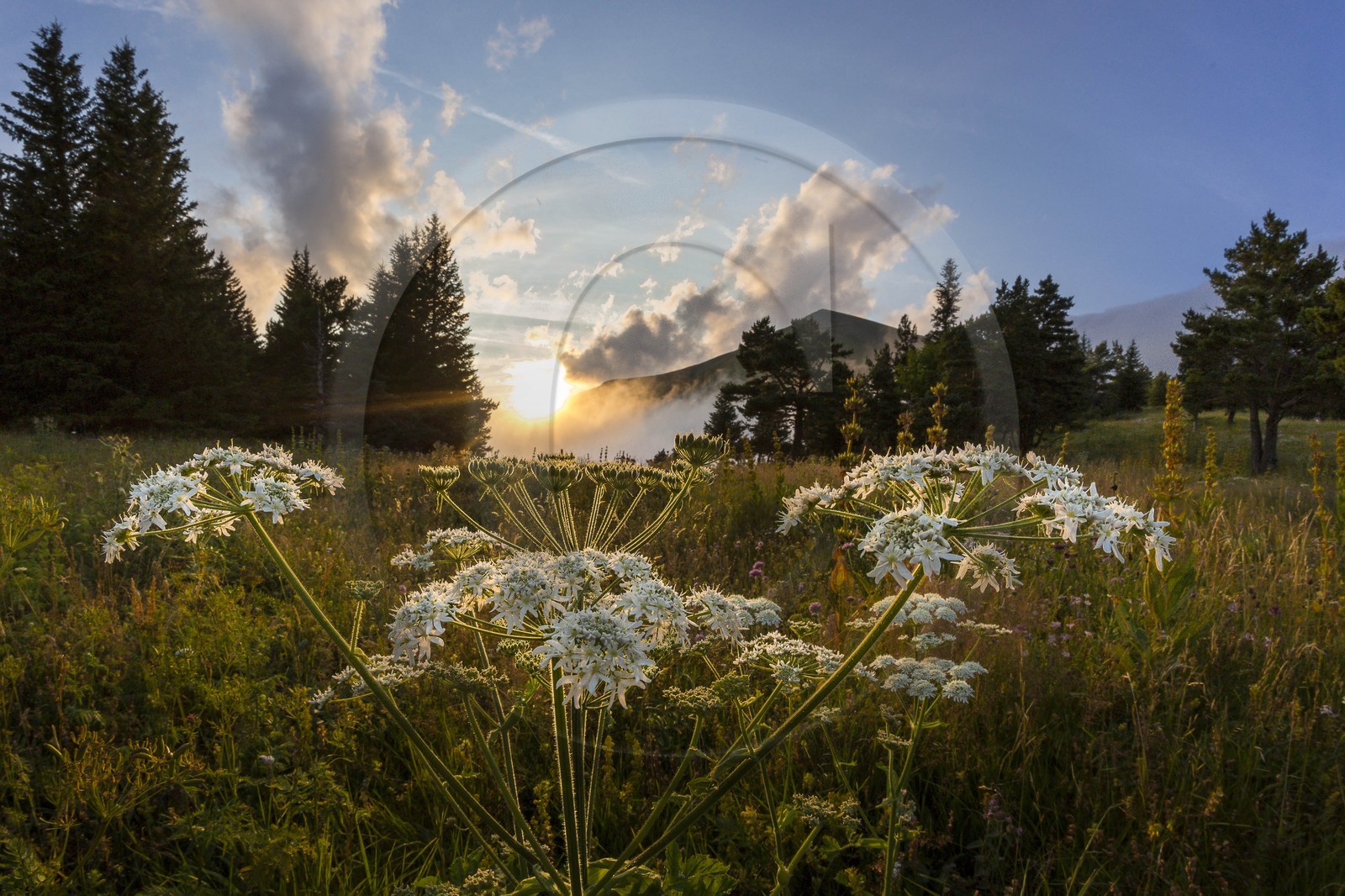 vallon de La Jarjatte, Col de Priau