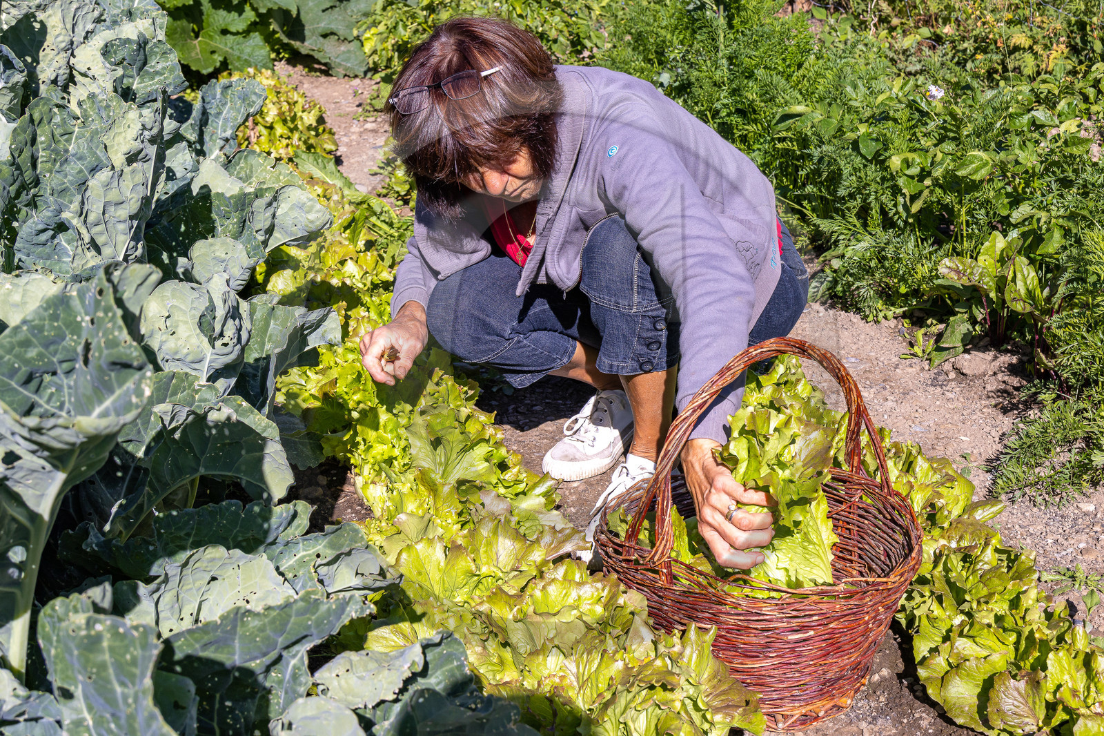 L'Ecrin de Violette, Chambres et table d'hôtes