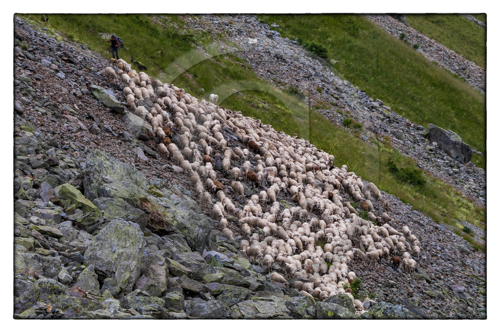 Alpage de la combe des Plans