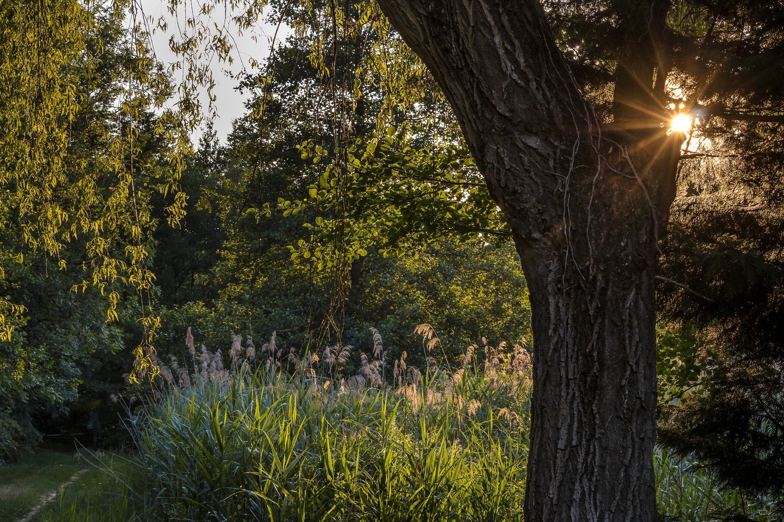 ENS de l'Isère, Prairies inondables de Pont-Évêque