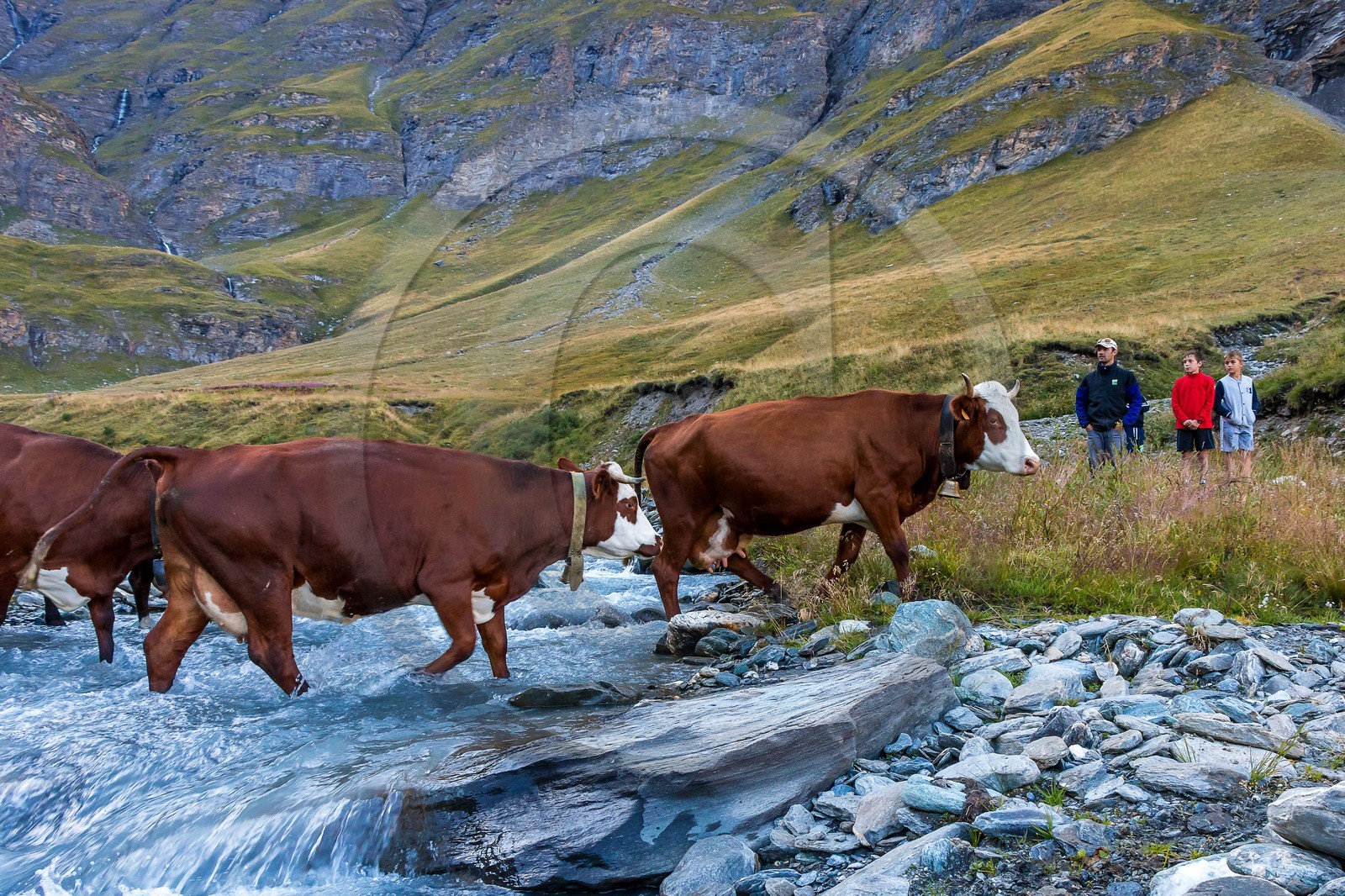 Alpage du Vallon d'en Haut, Sébastien Vincendet