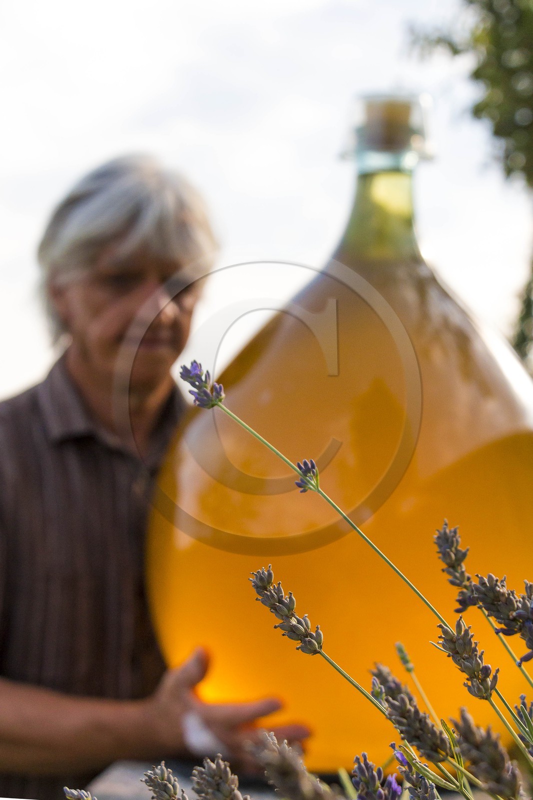 Vignoble de Saint-Jeannet, propriétaire récoltant Denis Rasse