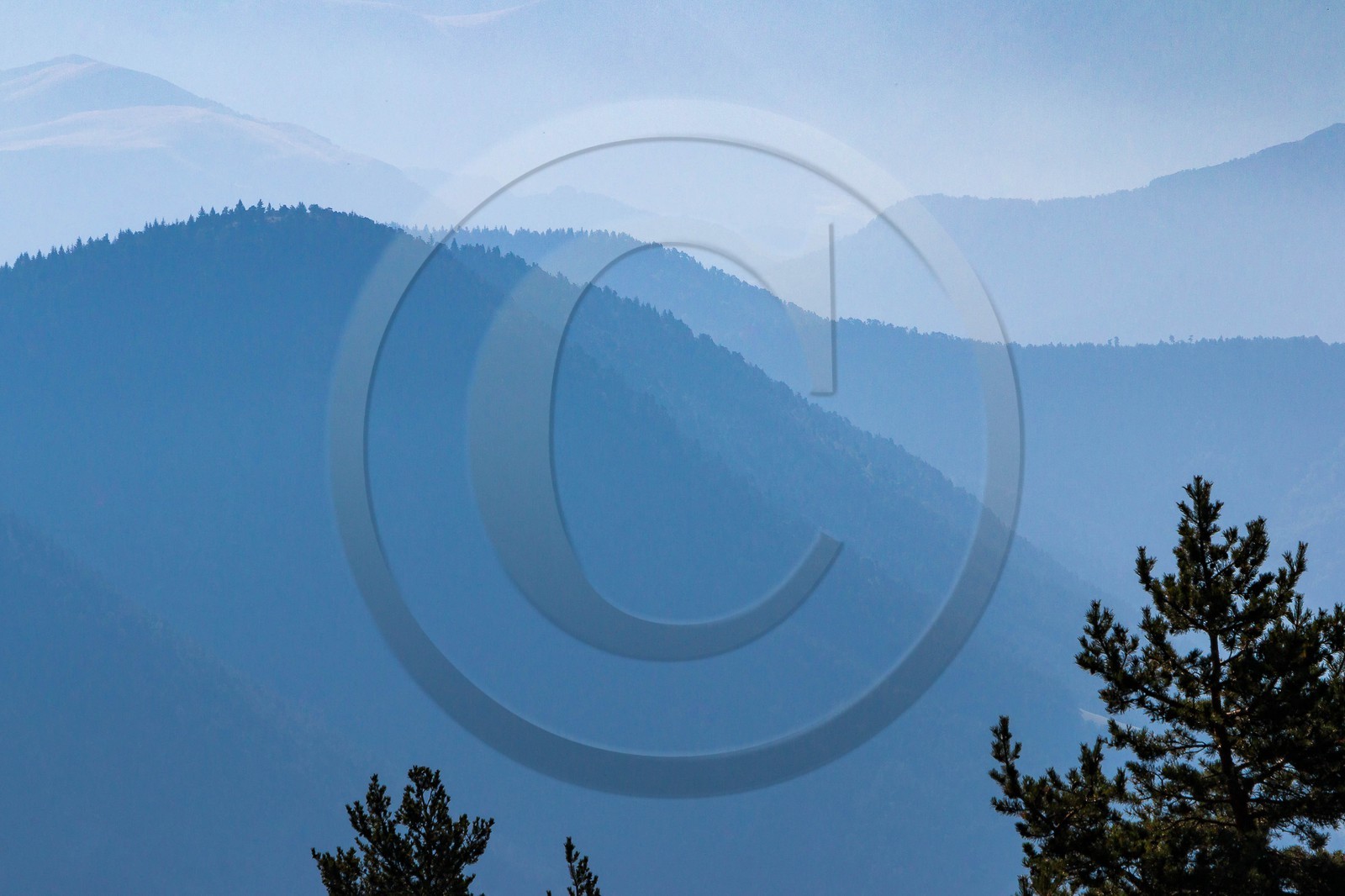 Les Monges, du col de la Pinée