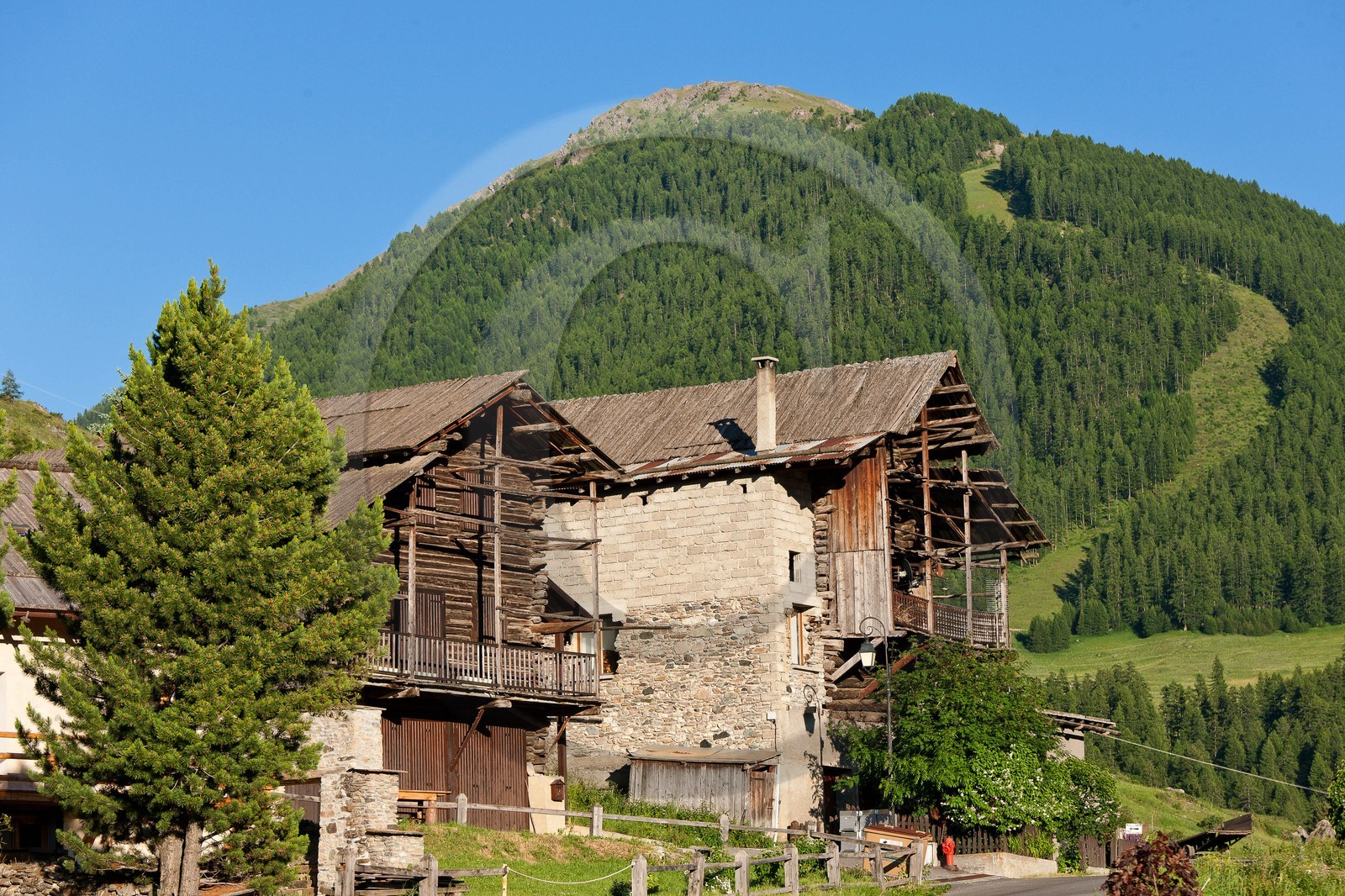 Fuste à Molines-en-Queyras