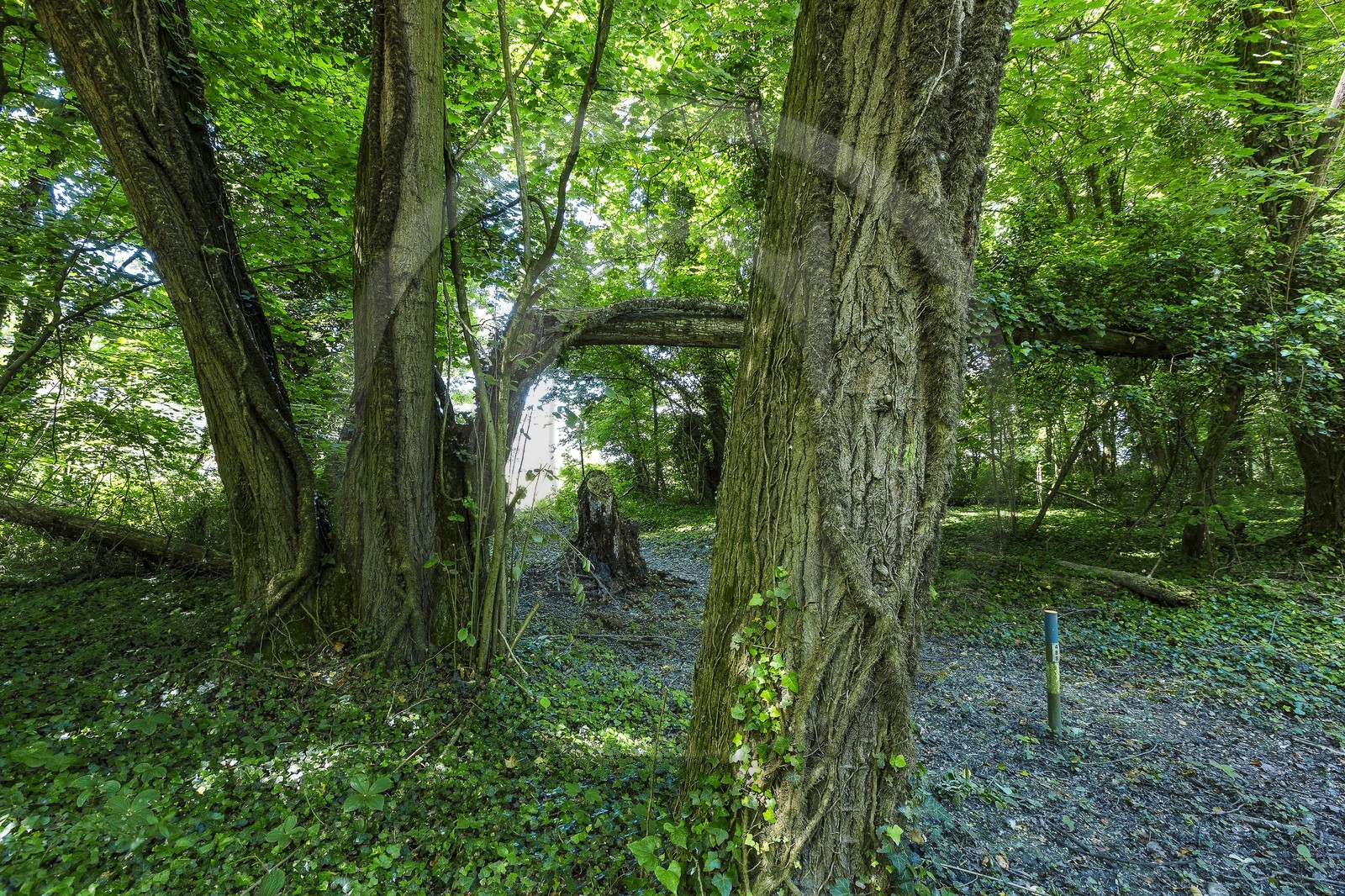 ENS de l'Isère, Boucle de la Taillat