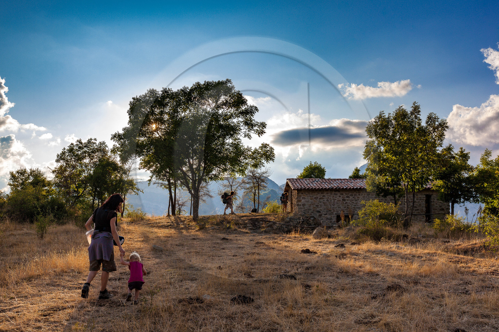 Refuge d'Art Vieil Esclangon d'Andy Goldsworthy