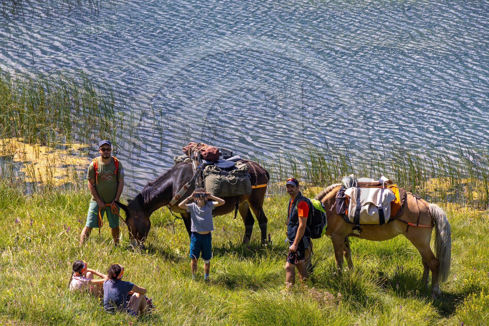 Trek famille avec animaux de bats
