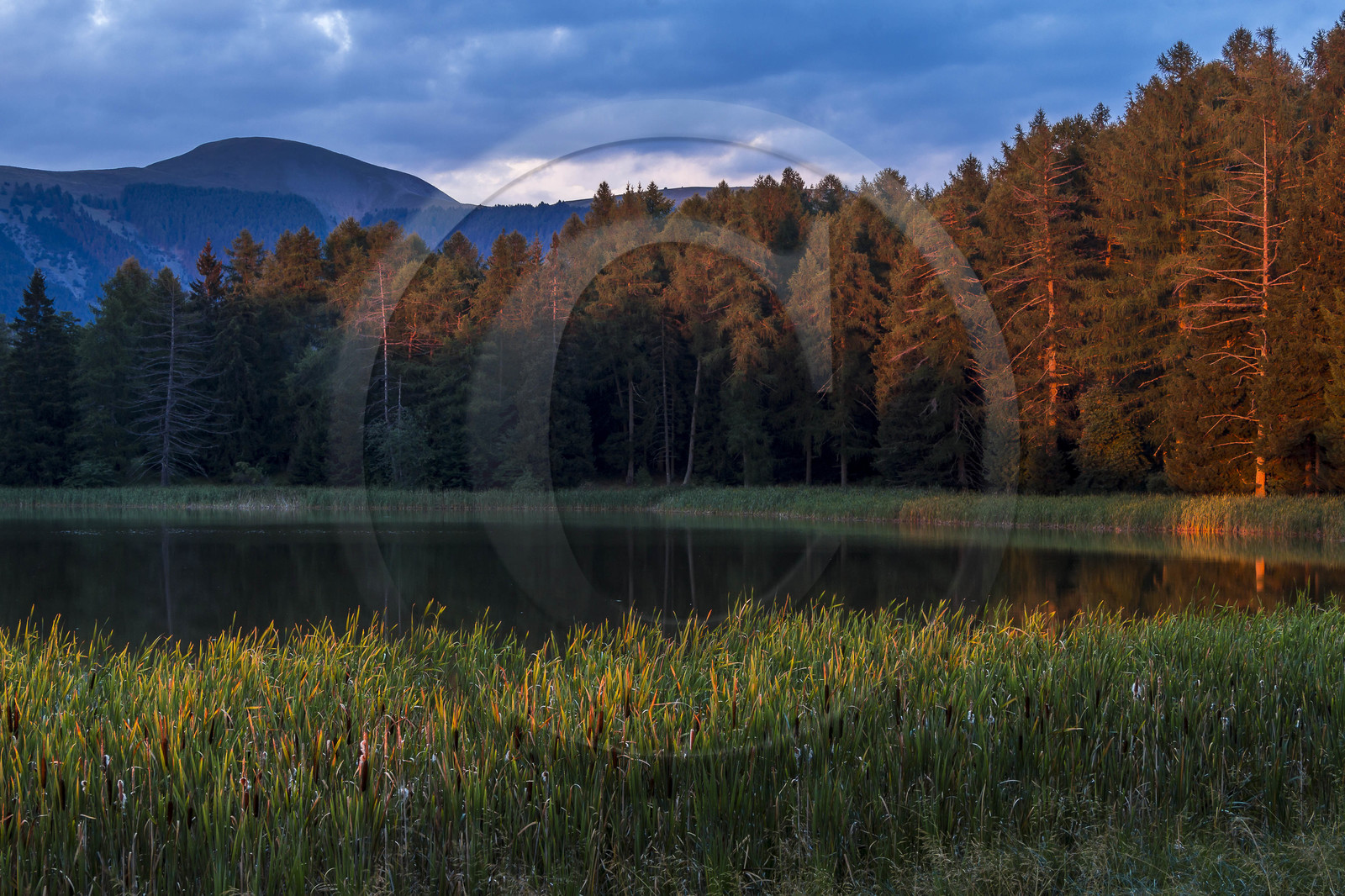 Esparron-La-Bâtie, lac d'Esparron