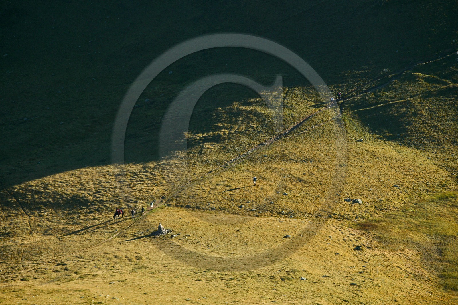 Réserve naturelle de Carlaveyron, col de Bellachat, randonnée avec portage par cheval