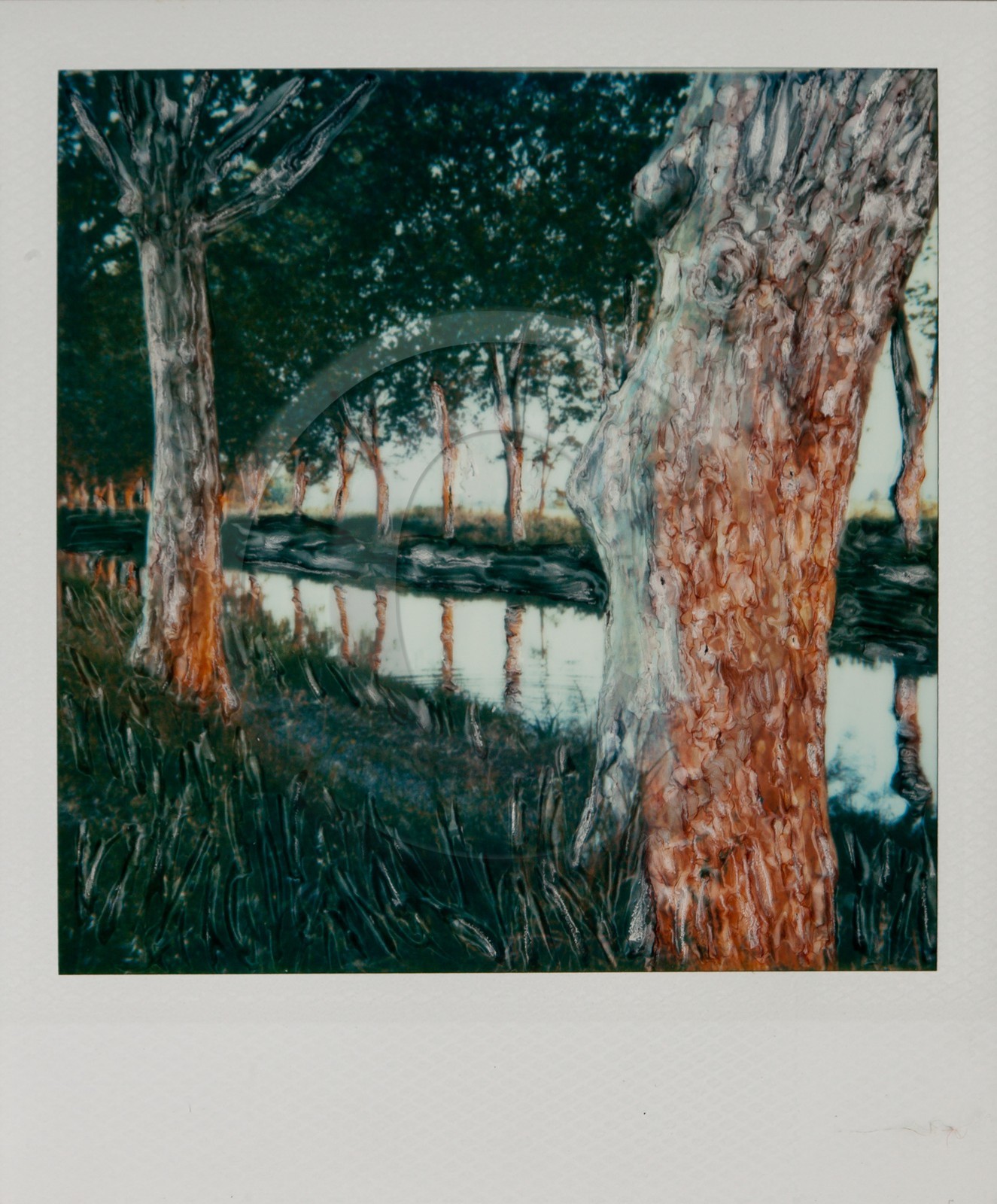 Exposition Arbres et petites forêts, éloge de la biodiversité