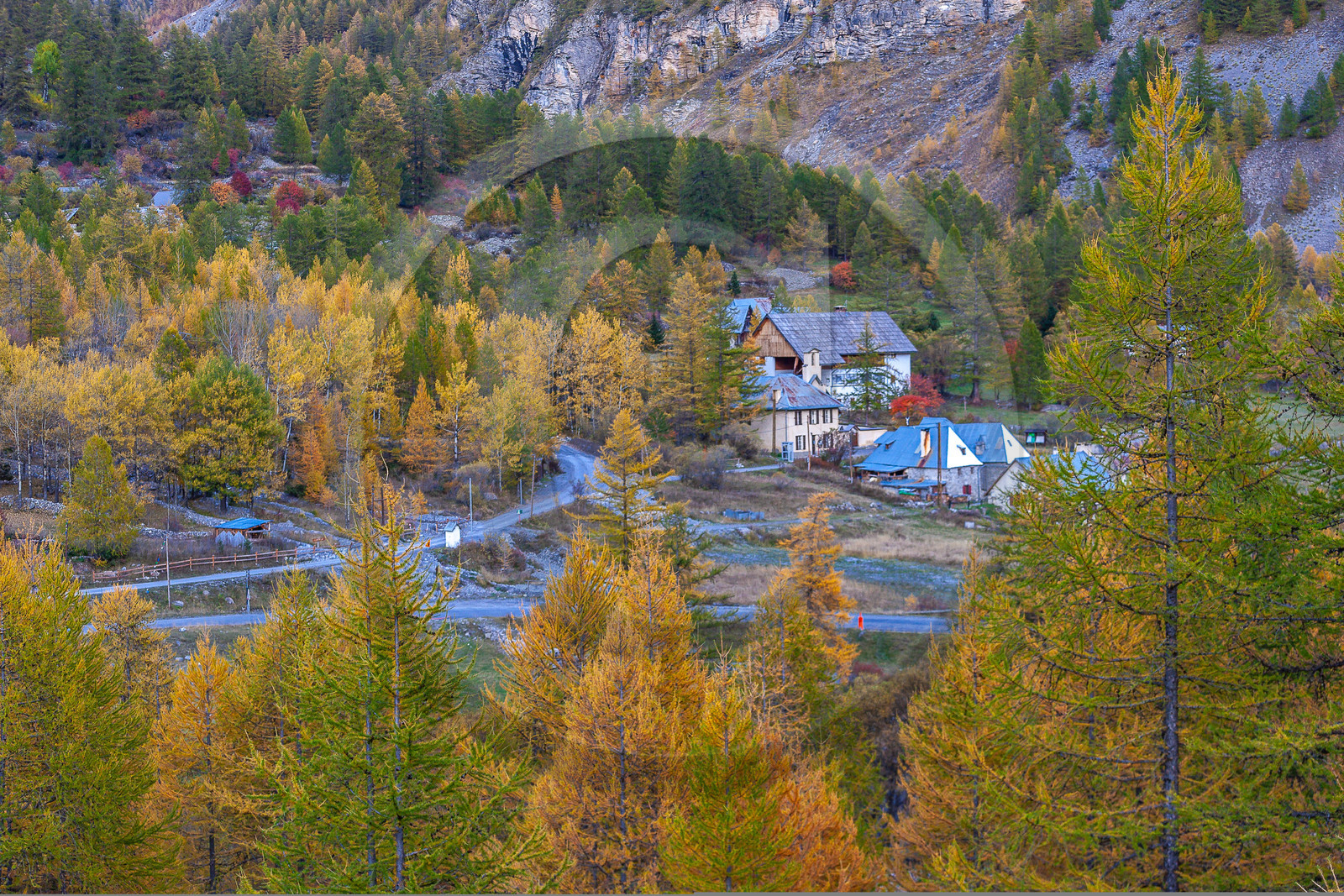 Col de la Cayolle, Bayasse