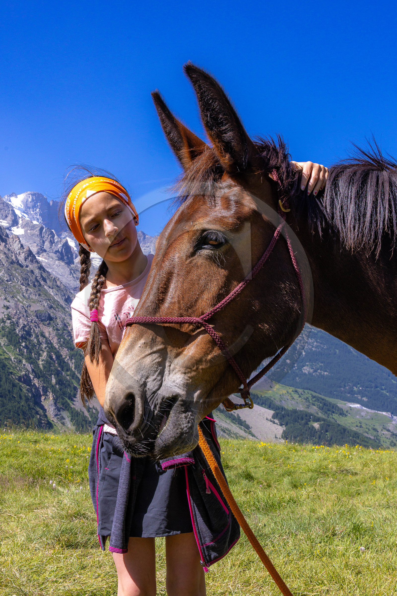 Trek famille avec animaux de bats