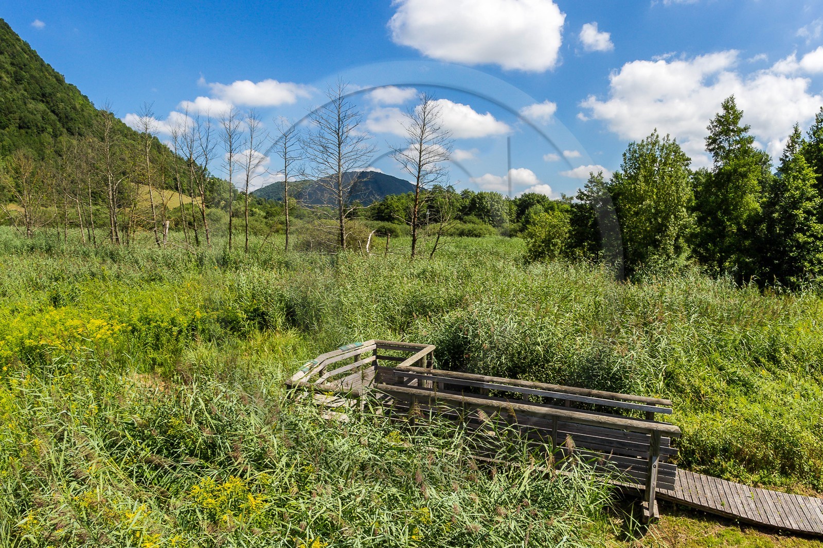 ENS de l'Isère, Marais de Chirens