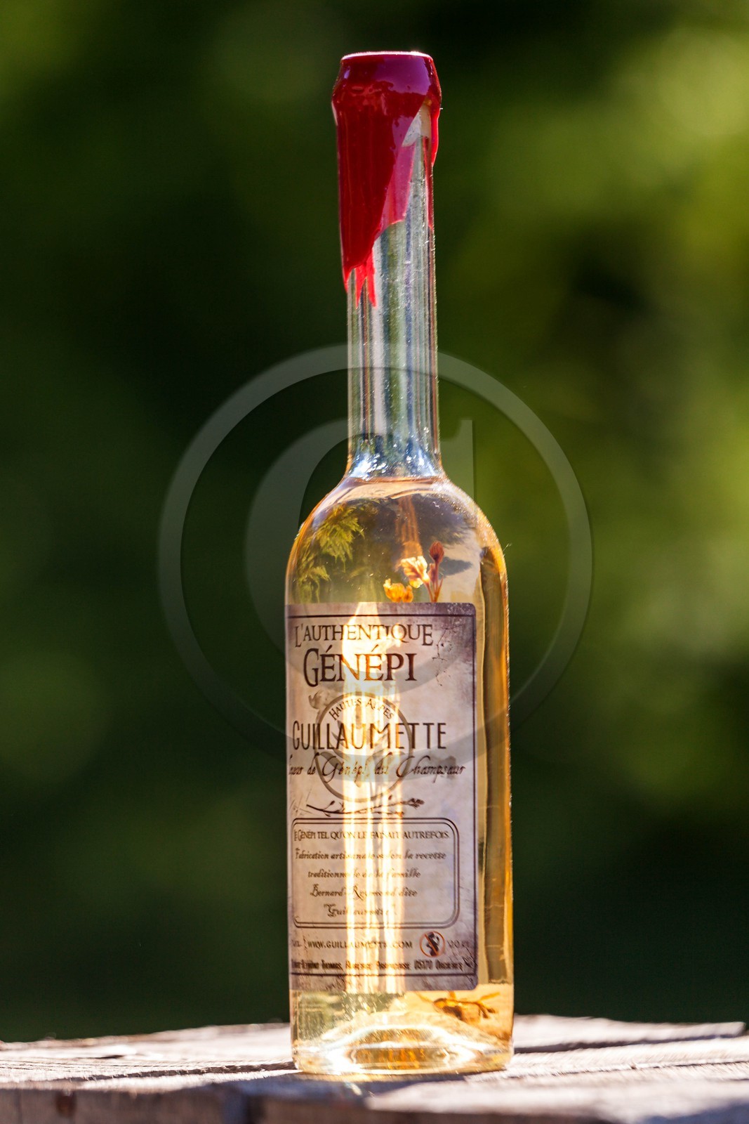 Orcières 1850, Génépi Guillaumette