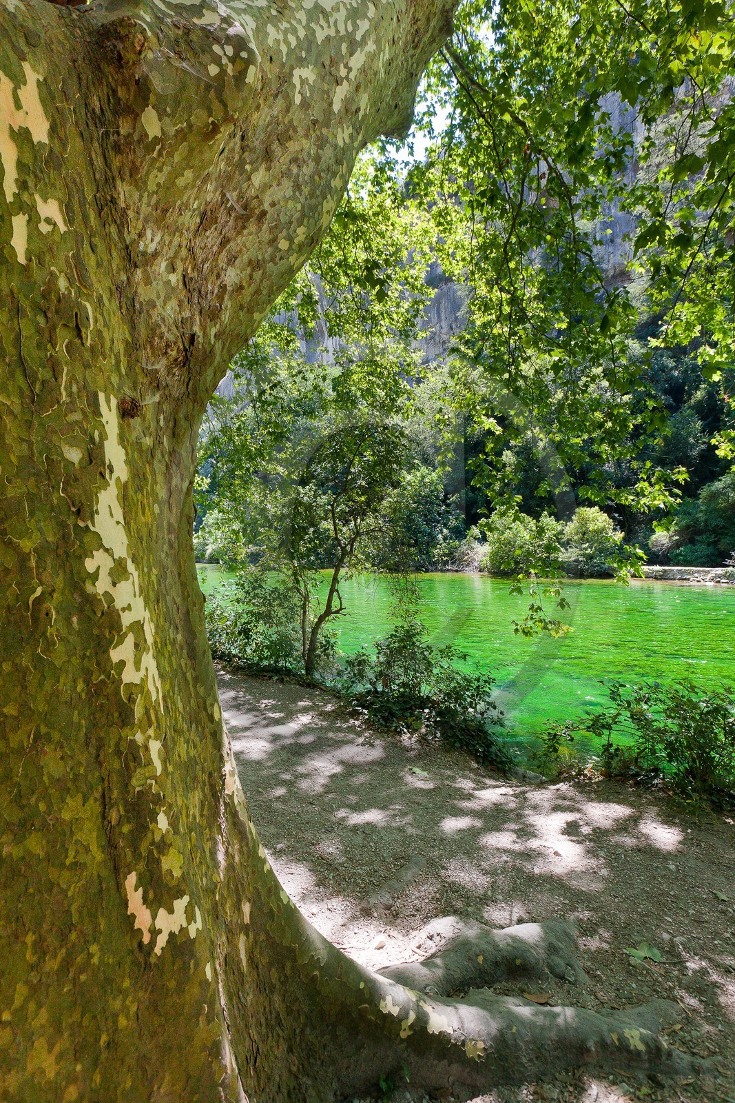 Fontaine de Vaucluse
