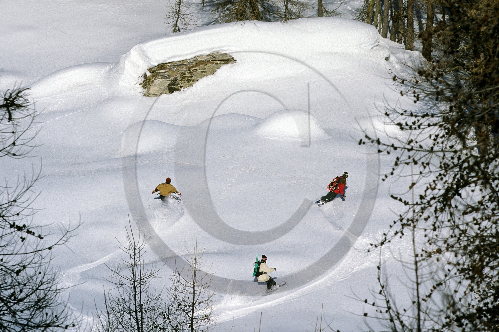 Surf des neige, Snowboard
