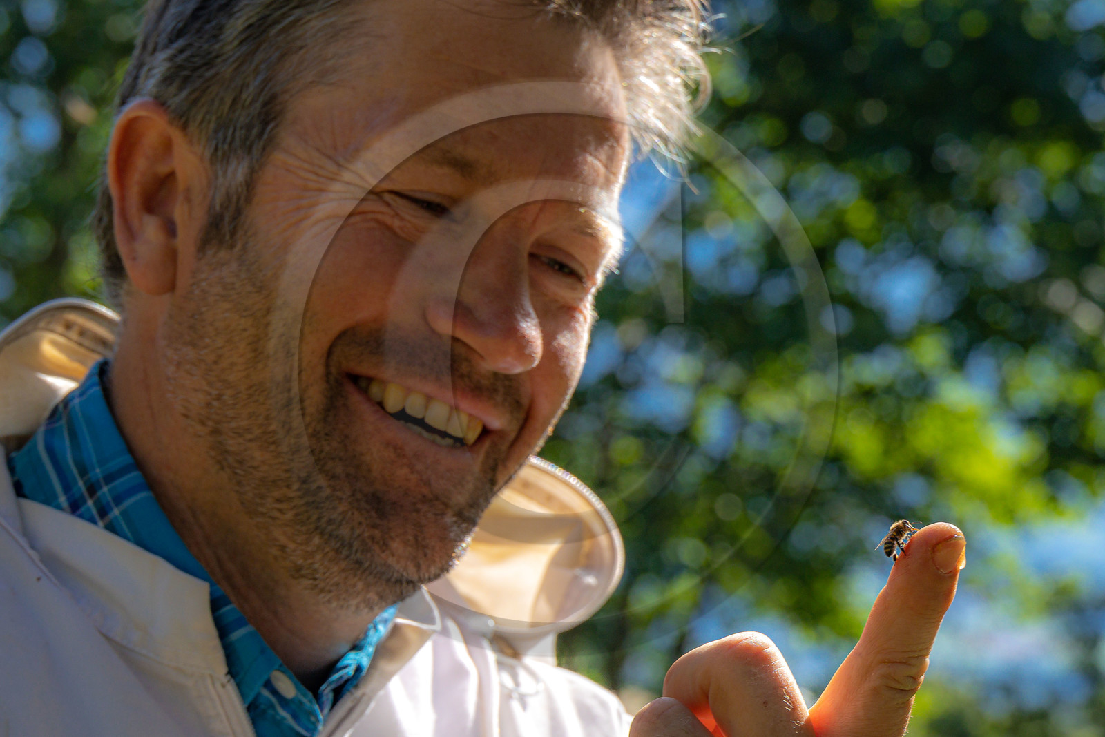 Jean-Jacques Daubert - Apiculteur