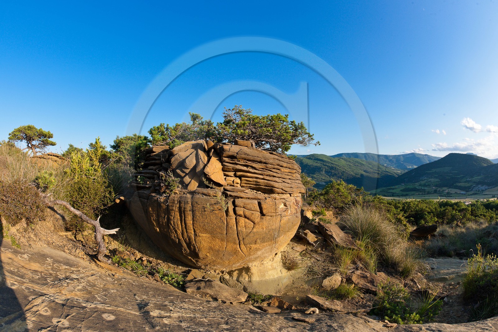 Saint-André de Rosans